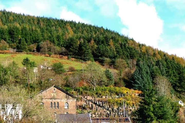 Selah Cottage, 21 Queen Street Pontrhydyfen Pokoj fotografie